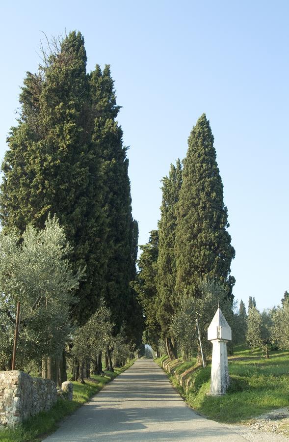 Bed and Breakfast Tenuta Di Capezzana Seano Экстерьер фото